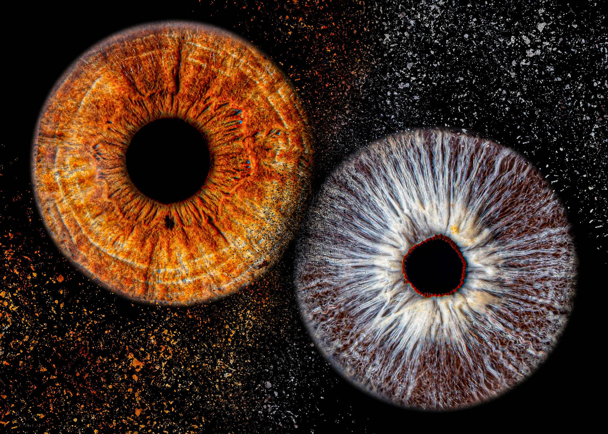 Iris Photography