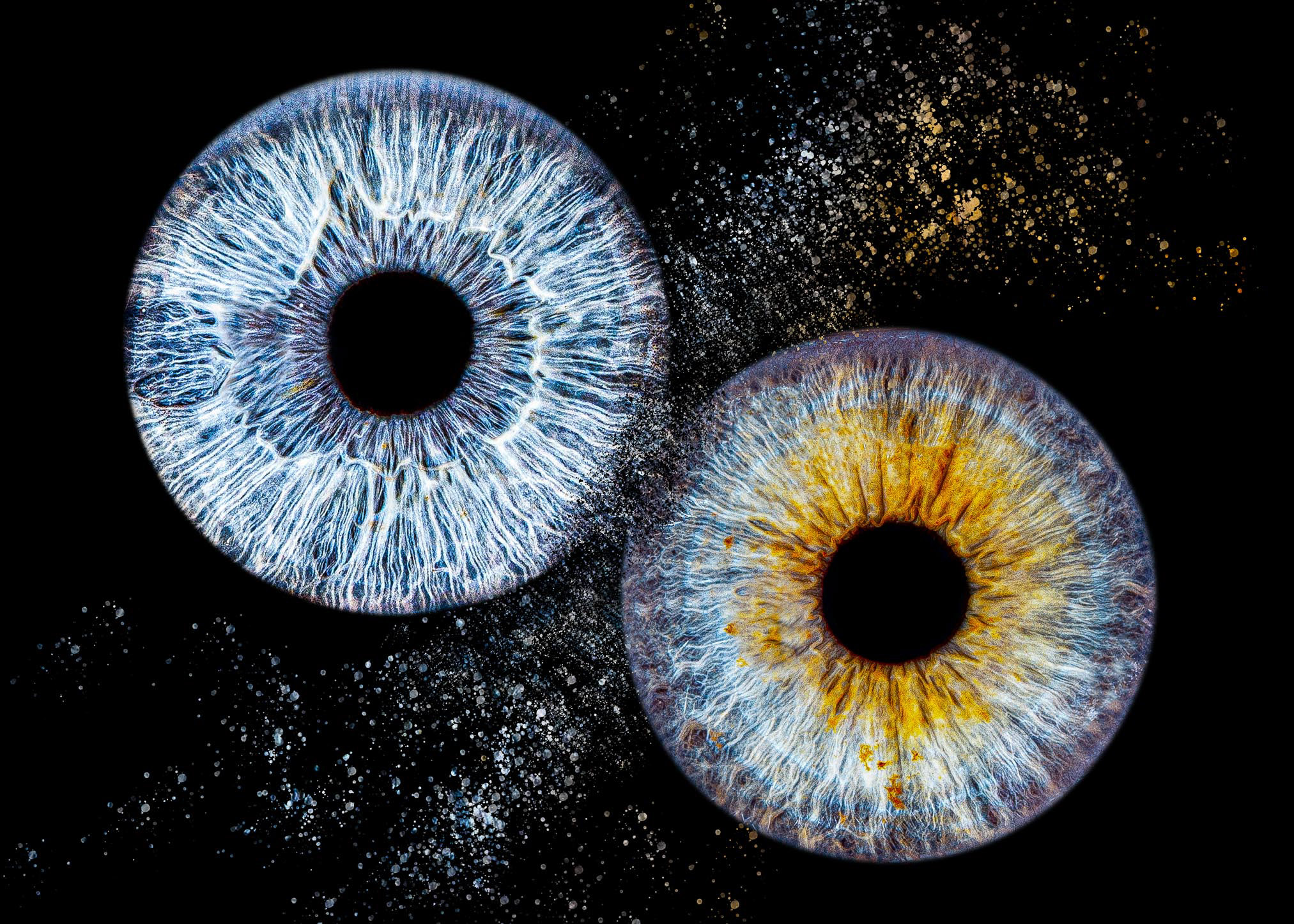 Iris Art