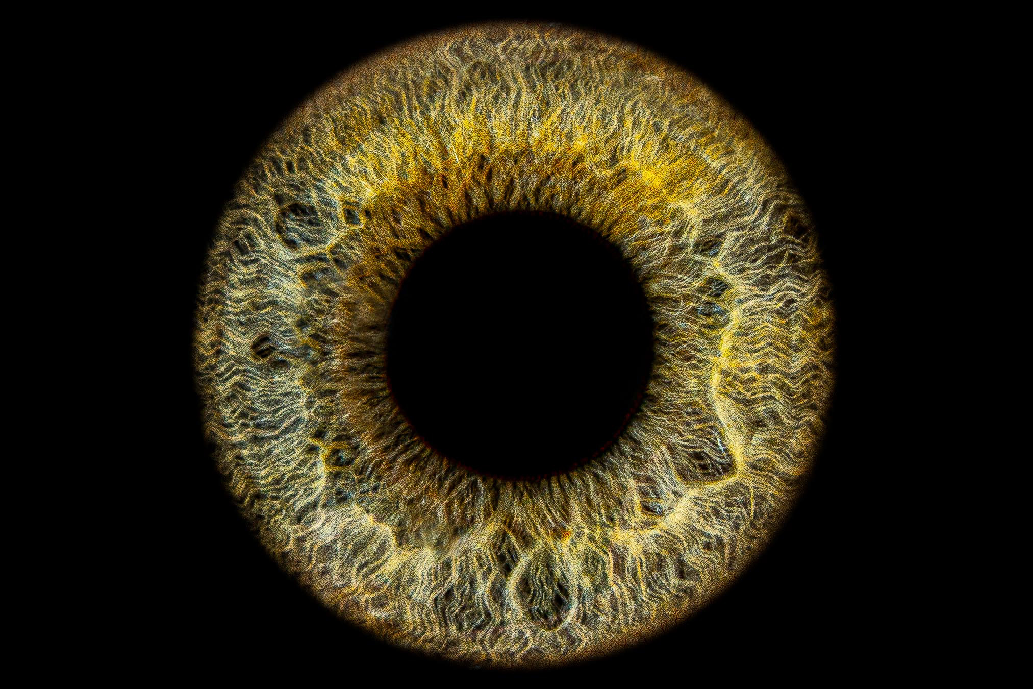 Personalised Iris Artwork