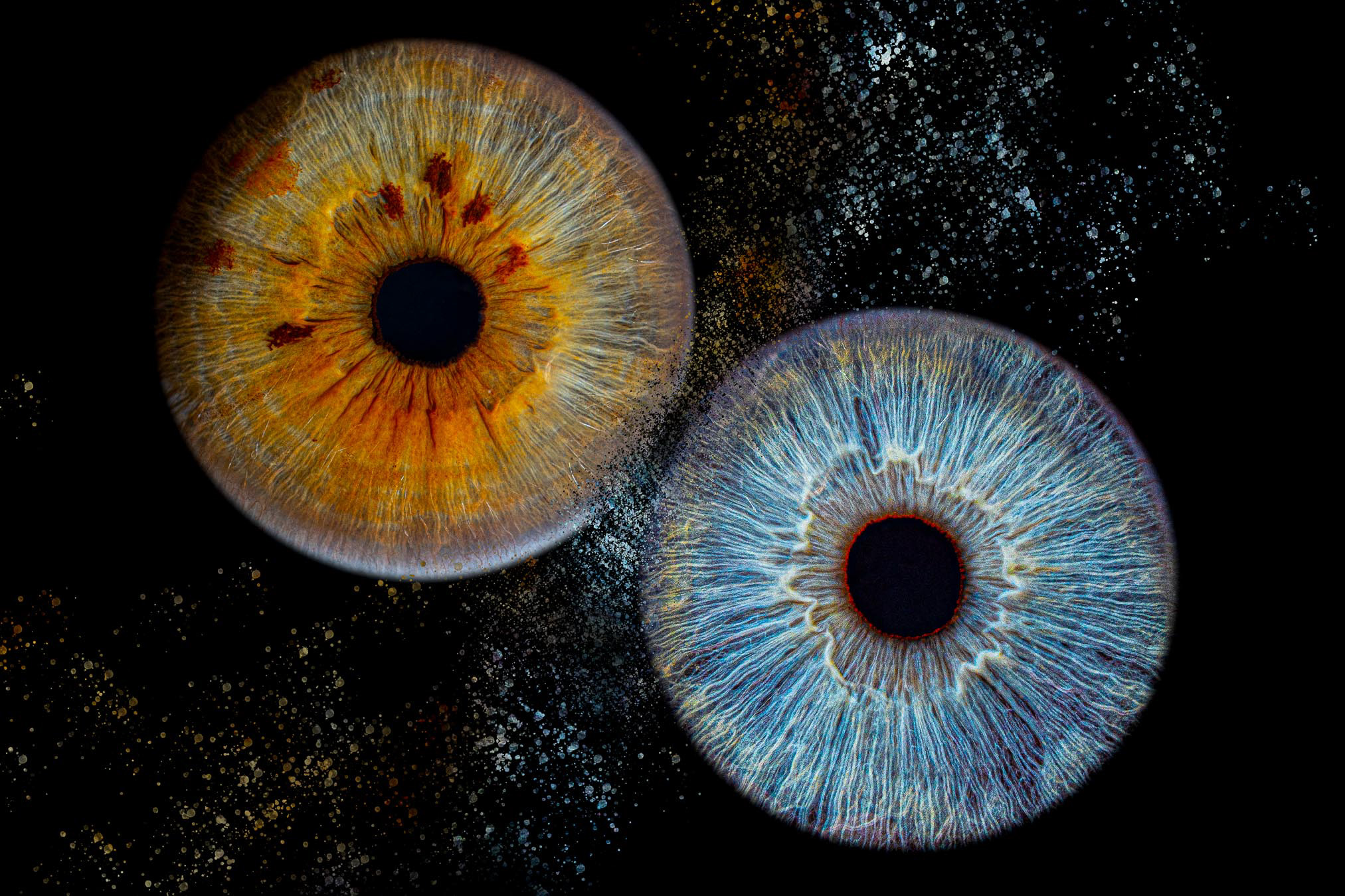 Professional Iris Photography